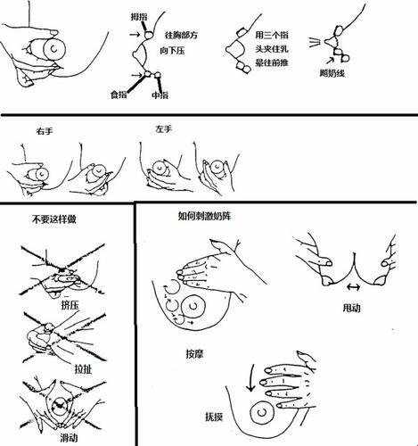 “拔萝卜挤牛奶，玩转攻略的讽刺艺术”