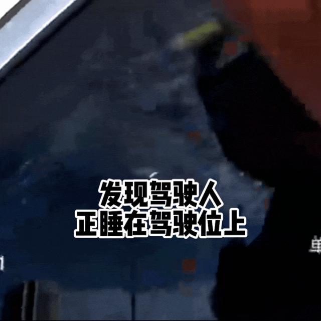 “醉猫车内摊睡，交警突袭破纪录！”