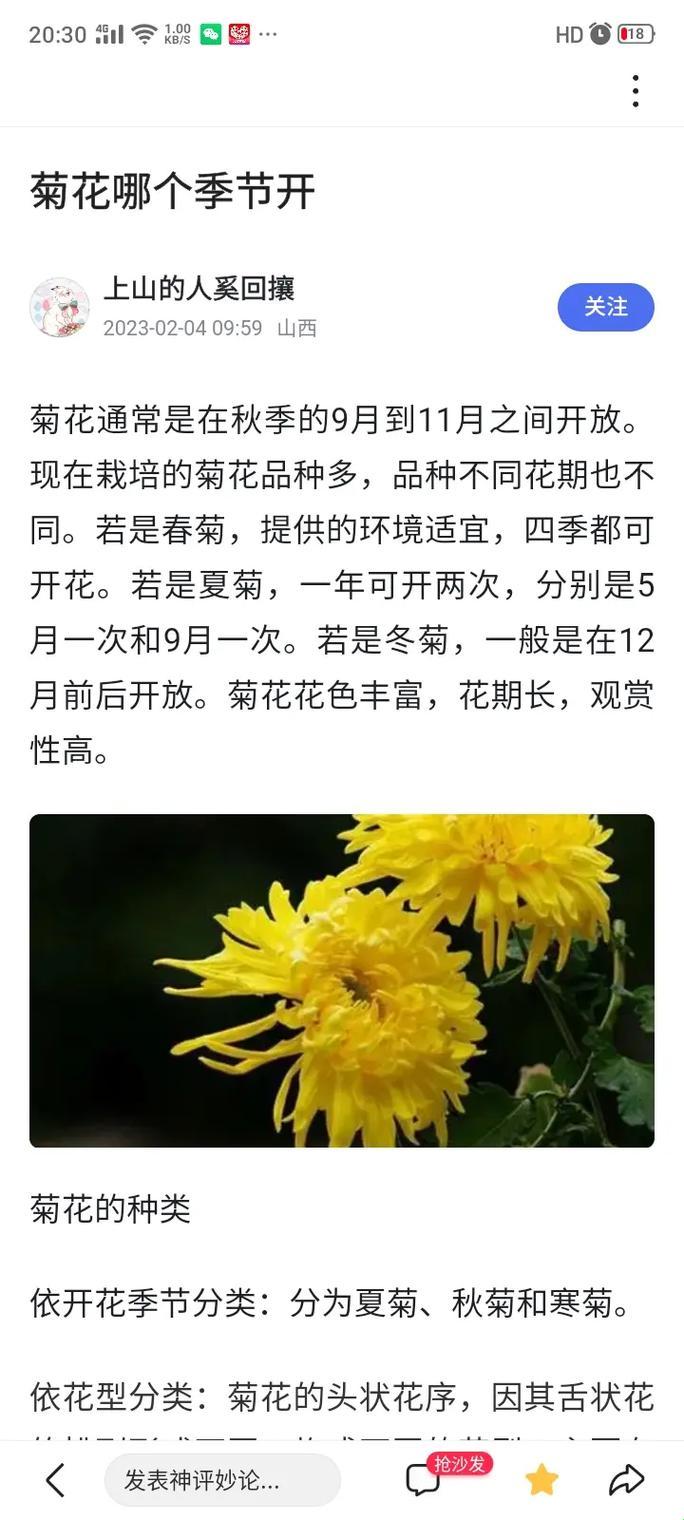 花开与否，极限探秘：游戏攻略界的奇趣现象