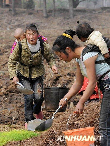 "母田守望者：绿野仙踪笑谈录"