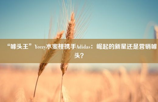 “噱头王”Yeezy水蜜桃携手Adidas：崛起的新星还是营销噱头？