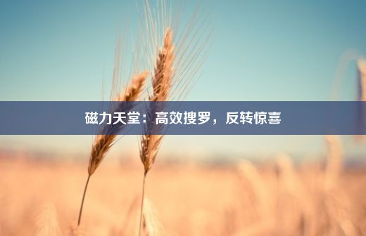 磁力天堂：高效搜罗，反转惊喜