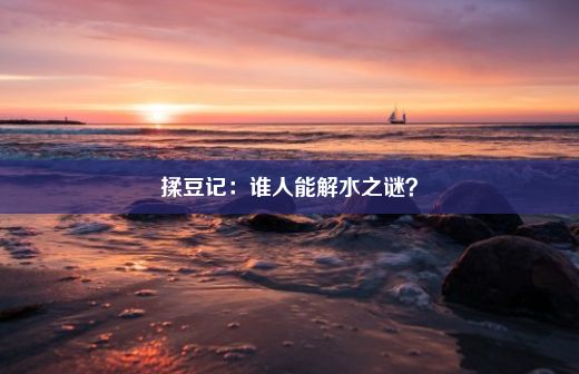 揉豆记：谁人能解水之谜？