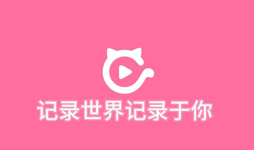 快豹传奇：狂潮中的网民狂欢曲