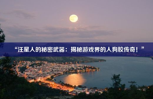 “汪星人的秘密武器：揭秘游戏界的人狗胶传奇！”