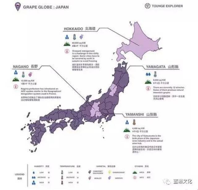 日本游戏攻略：一线产区笑傲江湖，二线产区逆袭风云