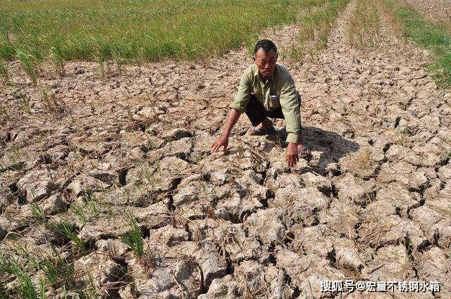 《游戏界的“偷菜”风云：耕了别人的旱地，笑看风云》