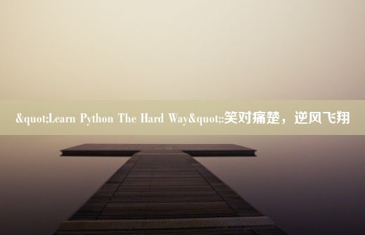 "Learn Python The Hard Way":笑对痛楚，逆风飞翔