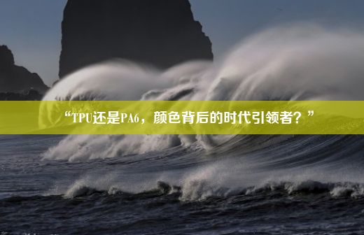 “TPU还是PA6，颜色背后的时代引领者？”