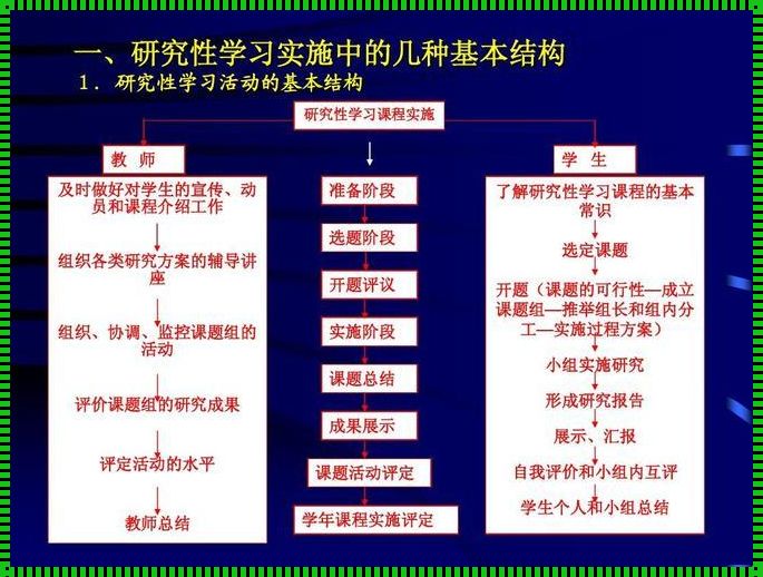 母与子的纠缠：可行性与必要性，揭秘游戏攻略中的匠心独运