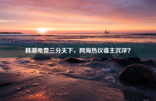 韩潮电费三分天下，网海热议谁主沉浮？