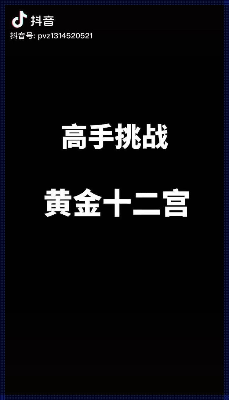 汉字攻防战：黄金十二宫，笑谈间谁主沉浮