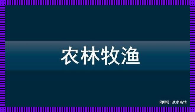 “奇葩团体”日本畜禽CORPORATION：游戏攻略界的“黑马”？