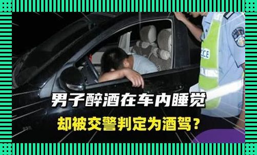 “醉猫”车内梦周公，交警突袭引热议！