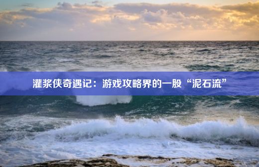 灌浆侠奇遇记：游戏攻略界的一股“泥石流”