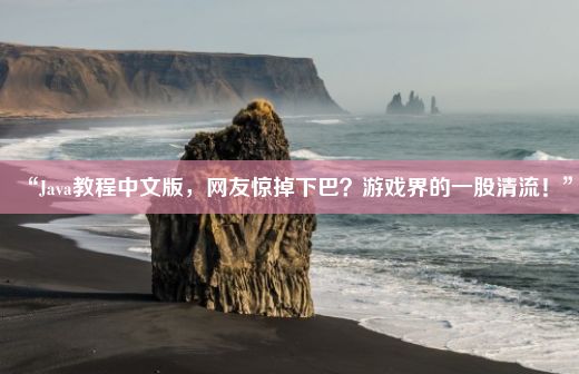 “Java教程中文版，网友惊掉下巴？游戏界的一股清流！”