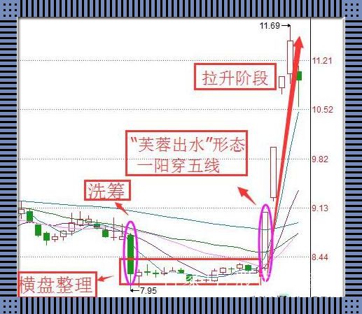 《游戏攻略界的“太阳风暴”：一阳吞三阴与技术指标的狂欢派对》