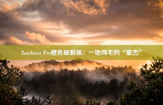 Zarchiver Pro橙色破解版：一地鸡毛的“豪杰”