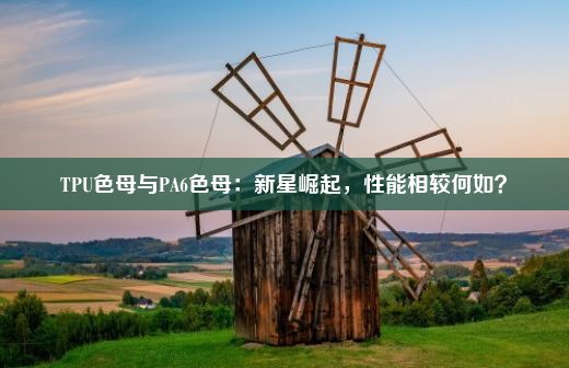 TPU色母与PA6色母：新星崛起，性能相较何如？