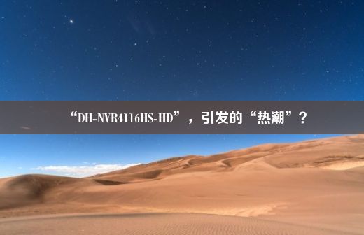 “DH-NVR4116HS-HD”，引发的“热潮”？