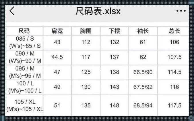 “鸭码L”VS“鸥码L”：时尚界的另类对决