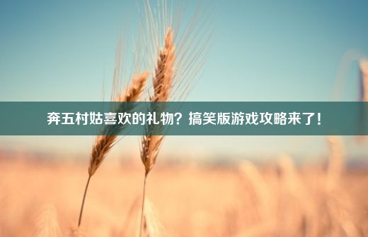 奔五村姑喜欢的礼物？搞笑版游戏攻略来了！