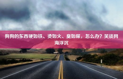 狗狗的东西硬如铁、烫如火、臭如屎，怎么办？笑谈网海浮沉