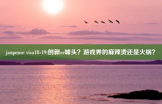 janpense visa18-19:创新or噱头？游戏界的麻辣烫还是火锅？