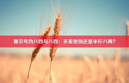 赛尔号伪八四与八四：天差地别还是半斤八两？