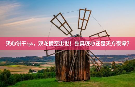 夹心饼干3ph，双龙横空出世！独具匠心还是天方夜谭？