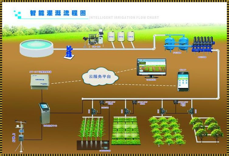 “精准灌溉液收集，笑谈另辟蹊径的艺术”