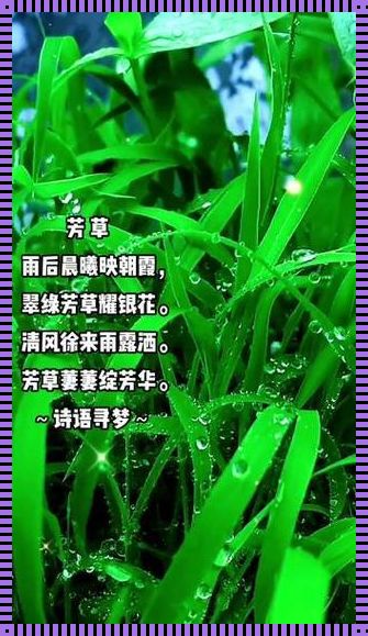 草长莺飞新潮语，游戏江湖谁解其中味？