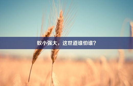 蚁小强大，这世道谁怕谁？