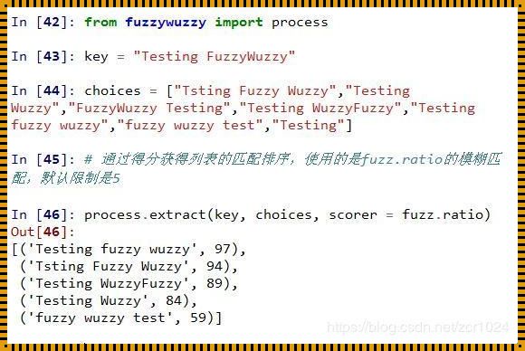 《fuzzywuzzyprocess19，攻略界的“醉”时尚》