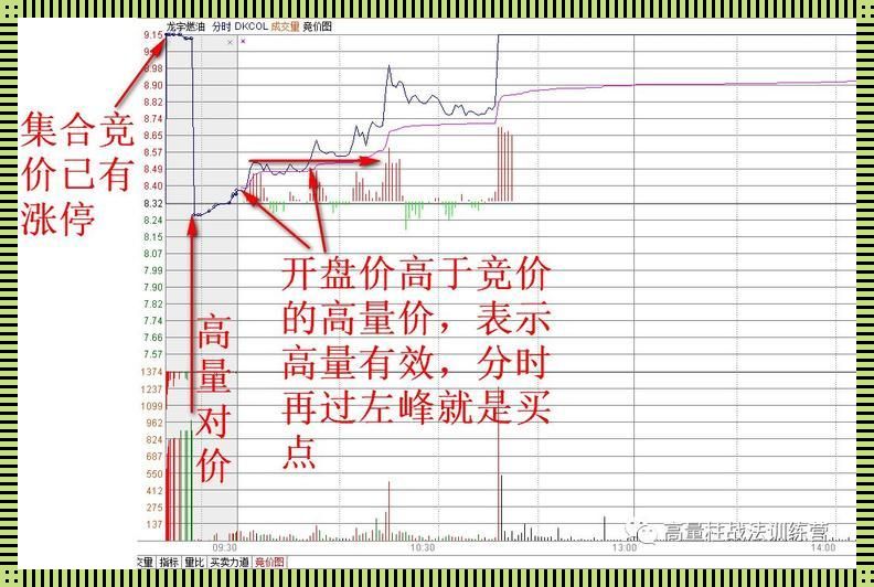 《游戏攻略界的“灰烬使者”传奇：吾乃抓灰小能手，新星中的废柴先锋》