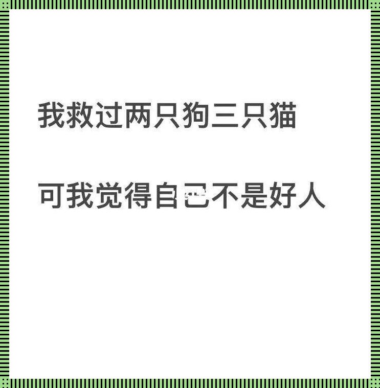 “换个姿势，独领风骚！”——游戏攻略界的魔性咒语