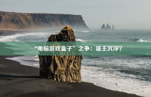 “电脑游戏盒子”之争：谁主沉浮？