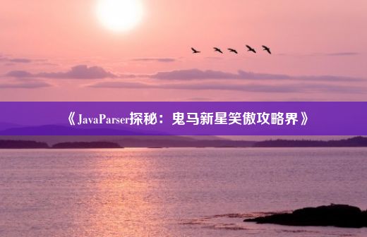 《JavaParser探秘：鬼马新星笑傲攻略界》