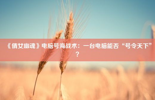 《倩女幽魂》电脑号海战术：一台电脑能否“号令天下”？