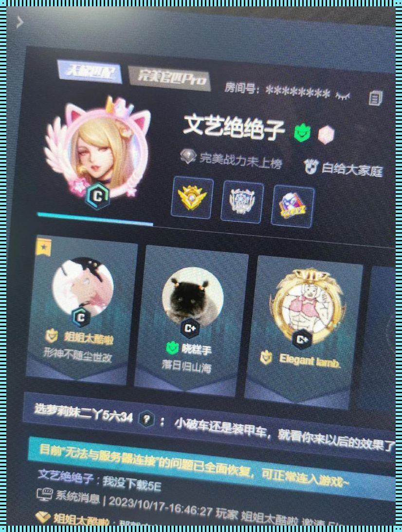 “CSGO猛妹”排行榜：网上激辩狂潮下的游戏江湖