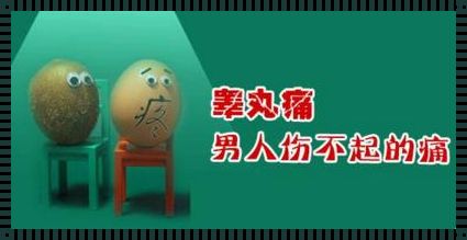 蛋疼约会后：创新游戏攻略的痛点之谜