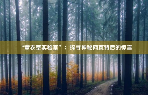 “薰衣草实验室”：探寻神秘网页背后的惊喜