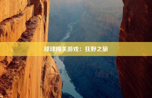 球球闯关游戏：狂野之旅