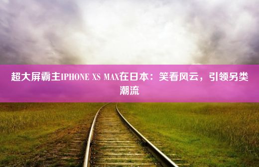 超大屏霸主IPHONE XS MAX在日本：笑看风云，引领另类潮流