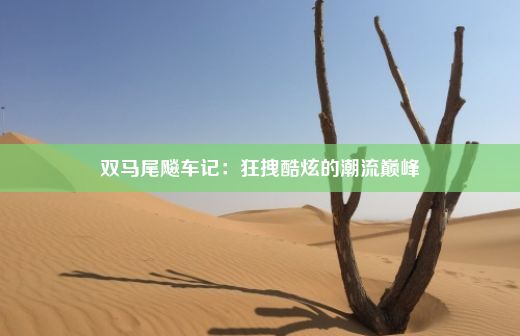 双马尾飚车记：狂拽酷炫的潮流巅峰