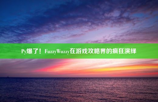 Py爆了！FuzzyWuzzy在游戏攻略界的疯狂演绎