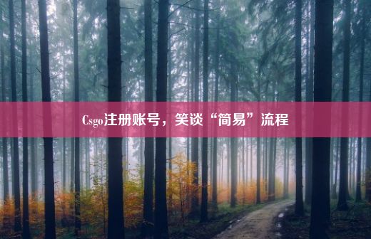 Csgo注册账号，笑谈“简易”流程