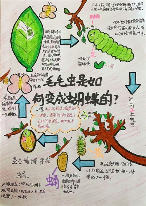 成长的秘密毛毛葆葆观察记录：误入游戏攻略的奇妙之旅