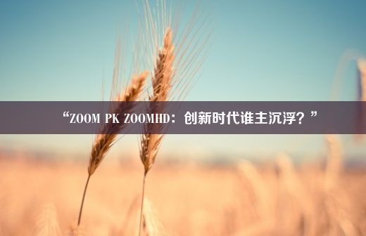 “ZOOM PK ZOOMHD：创新时代谁主沉浮？”