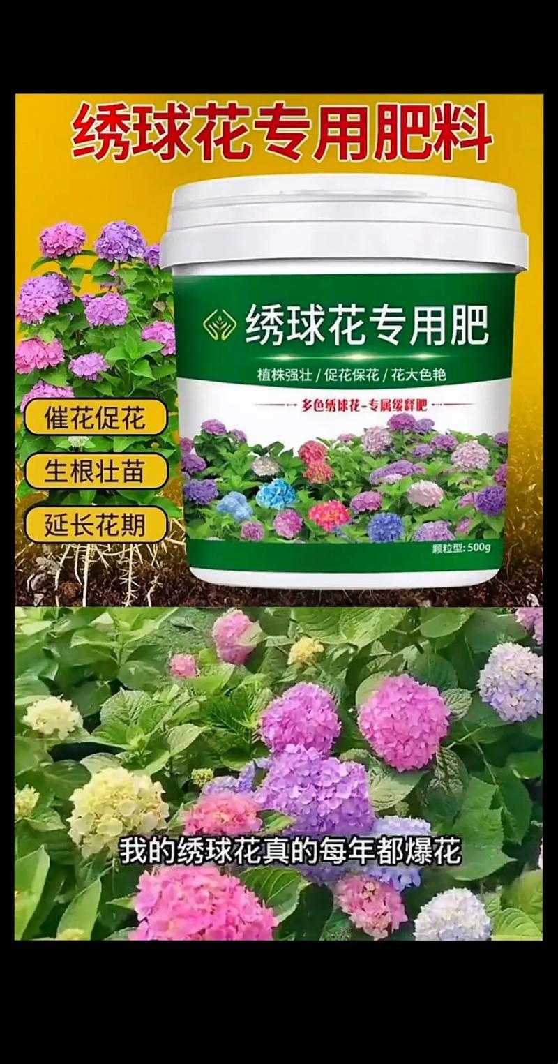 绣球花开，施肥界的“谜”雾弹